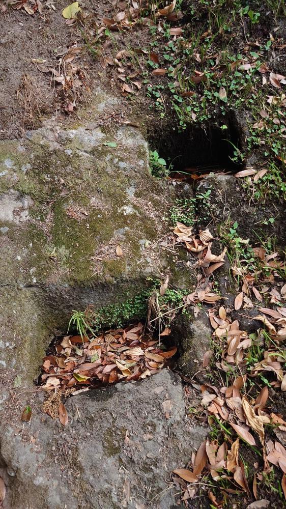 薬師堂のそば、岩をくり抜いた水溜めに湧き水が溜まる