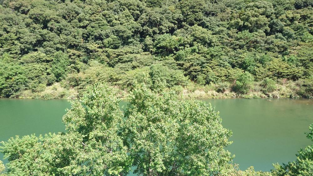 本河内の溜池。一の瀬口から先の旧街道はこの水の下に沈んだ