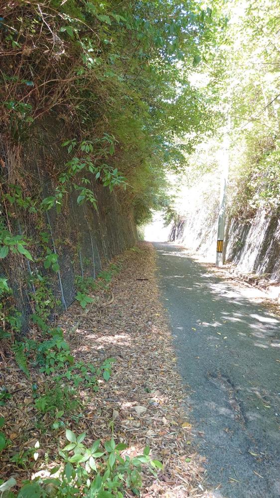 峠を三十三メートル切り下げた明治新道の切通し。両側に岩壁がそそり立つ